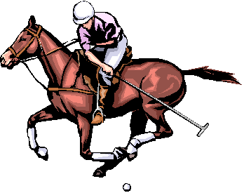 Polo pony